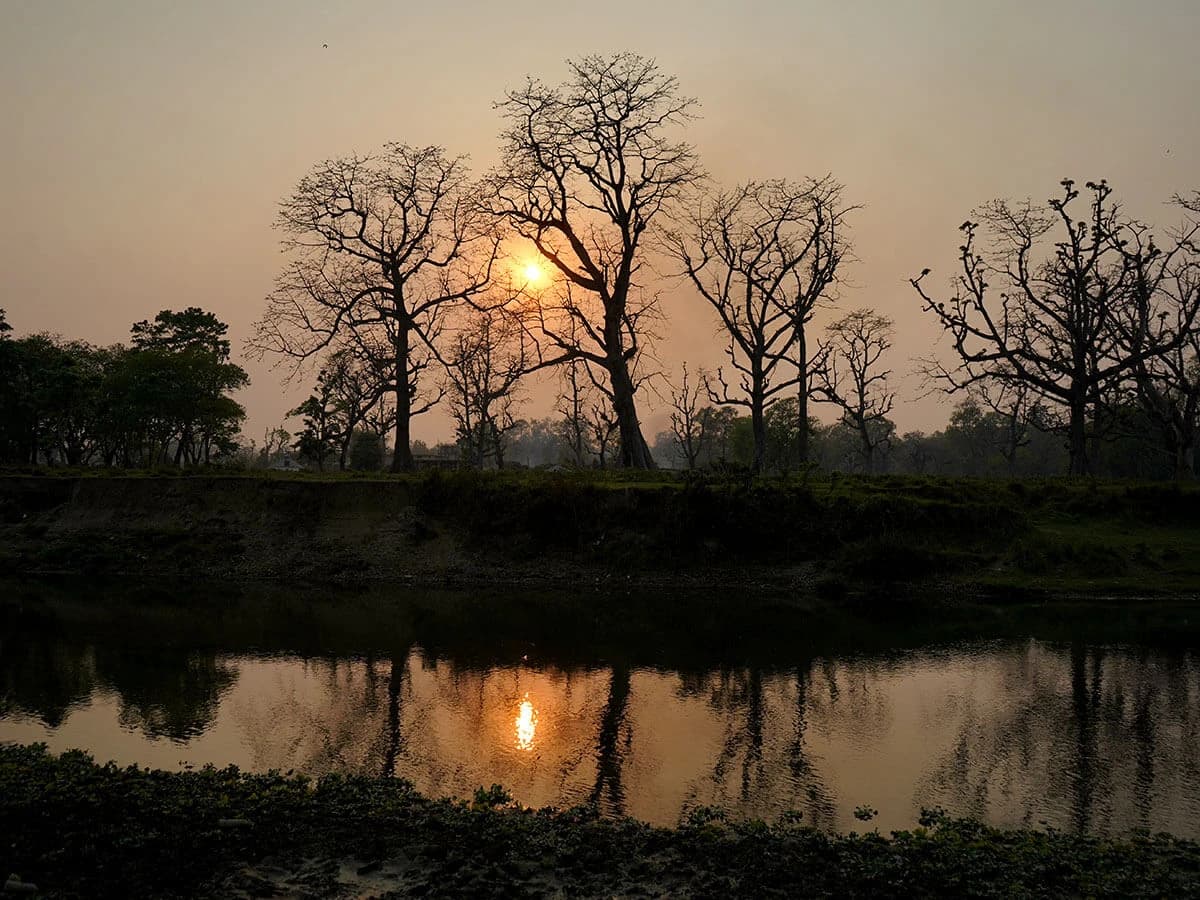 Chitwan National Park Tour with Jungle Safari