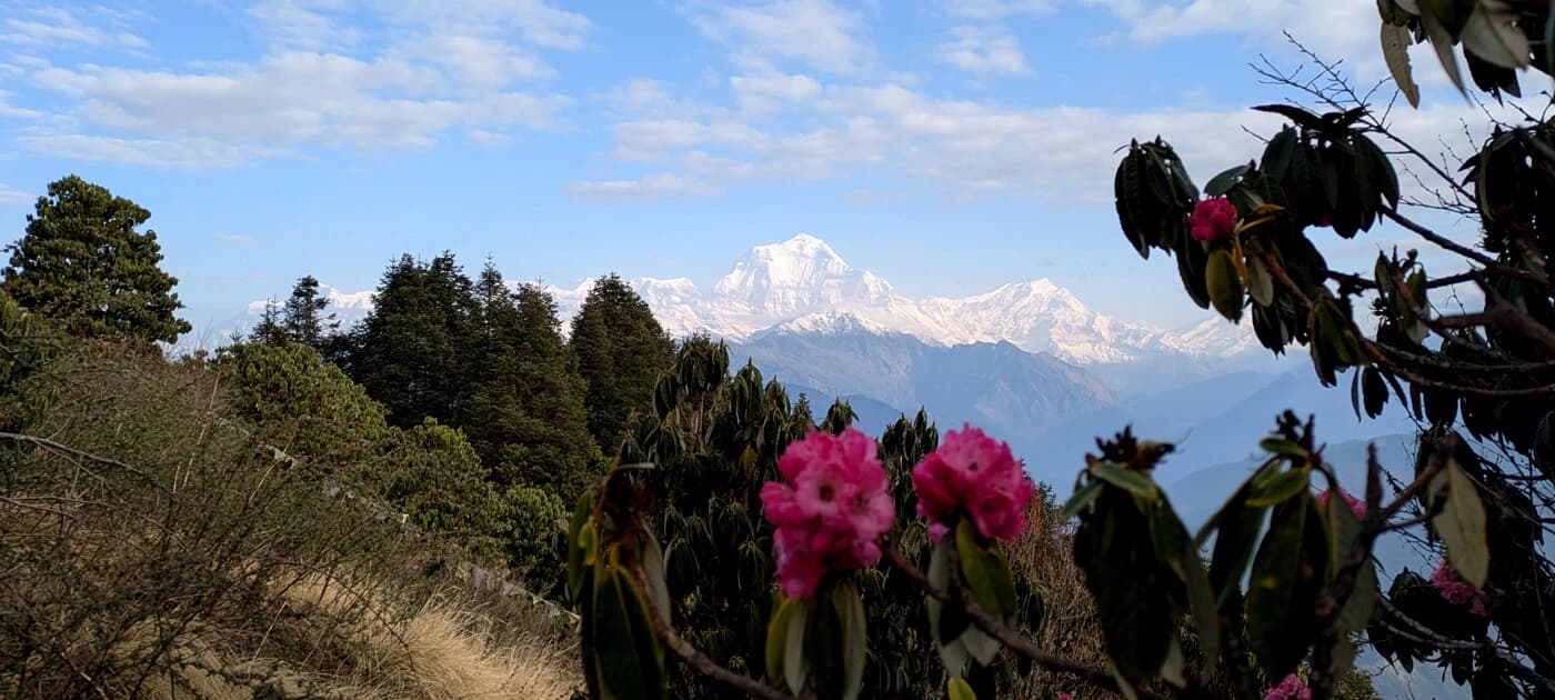 Annapurna Region
