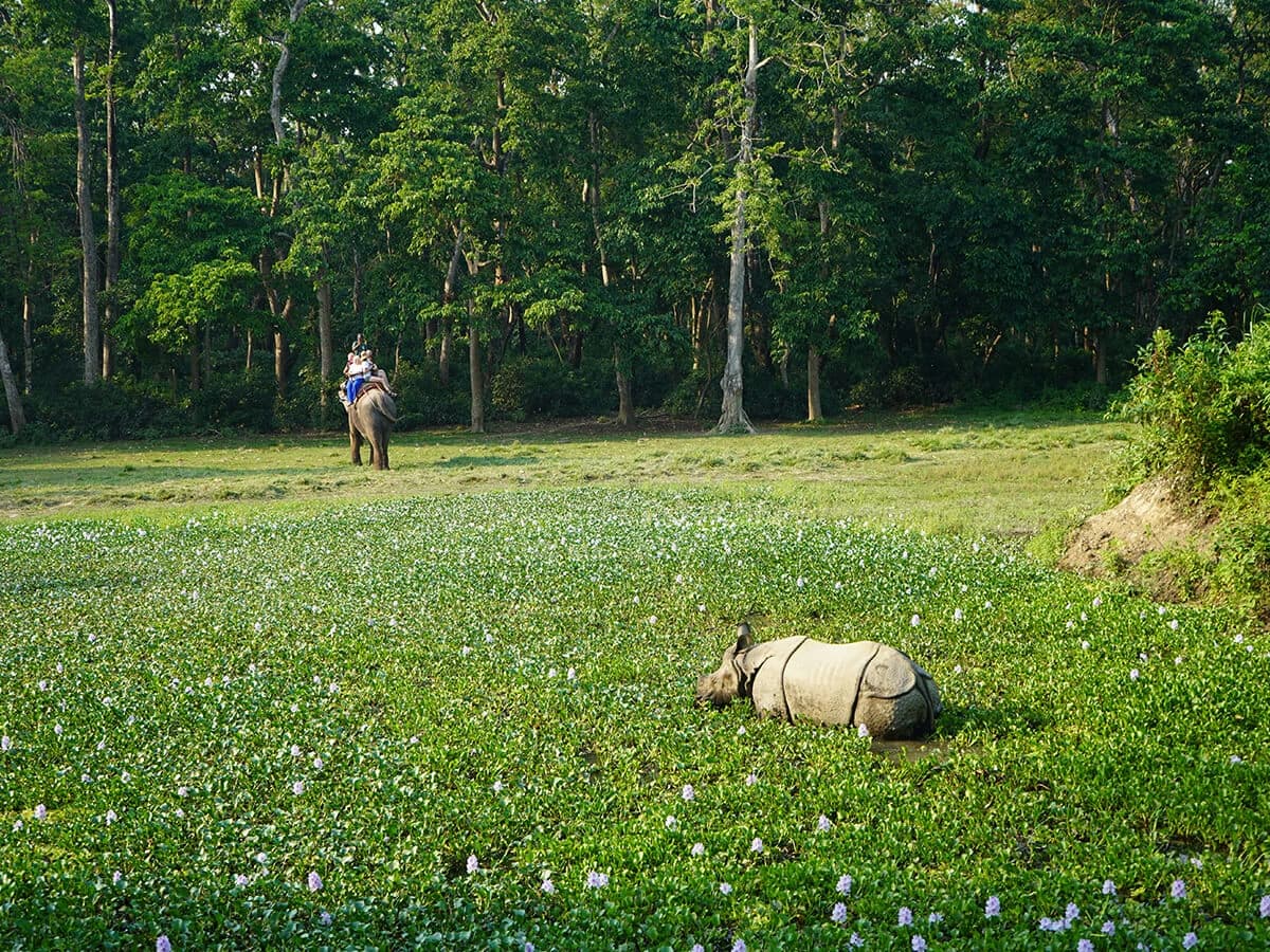 Chitwan National Park