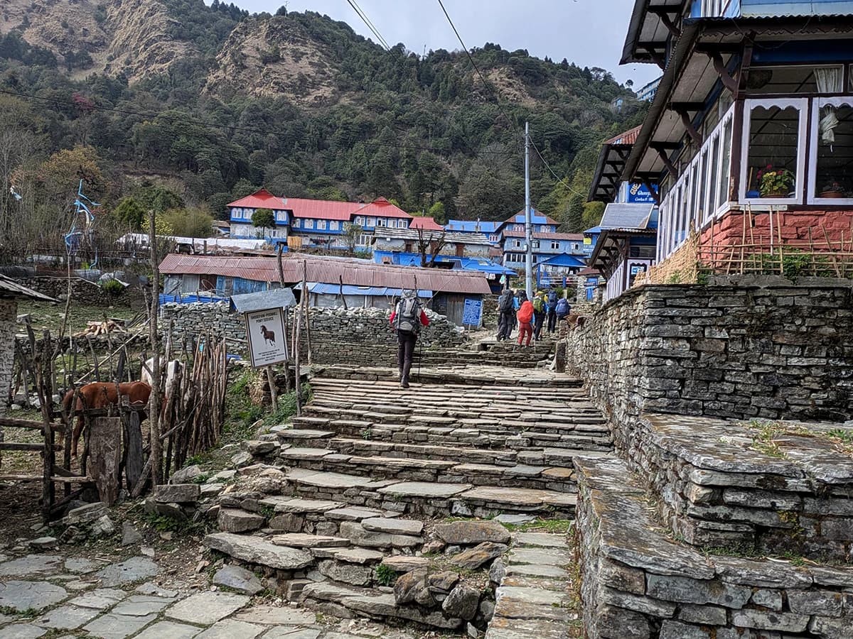 Ghorepani Poon Hill Trek - 7 Days