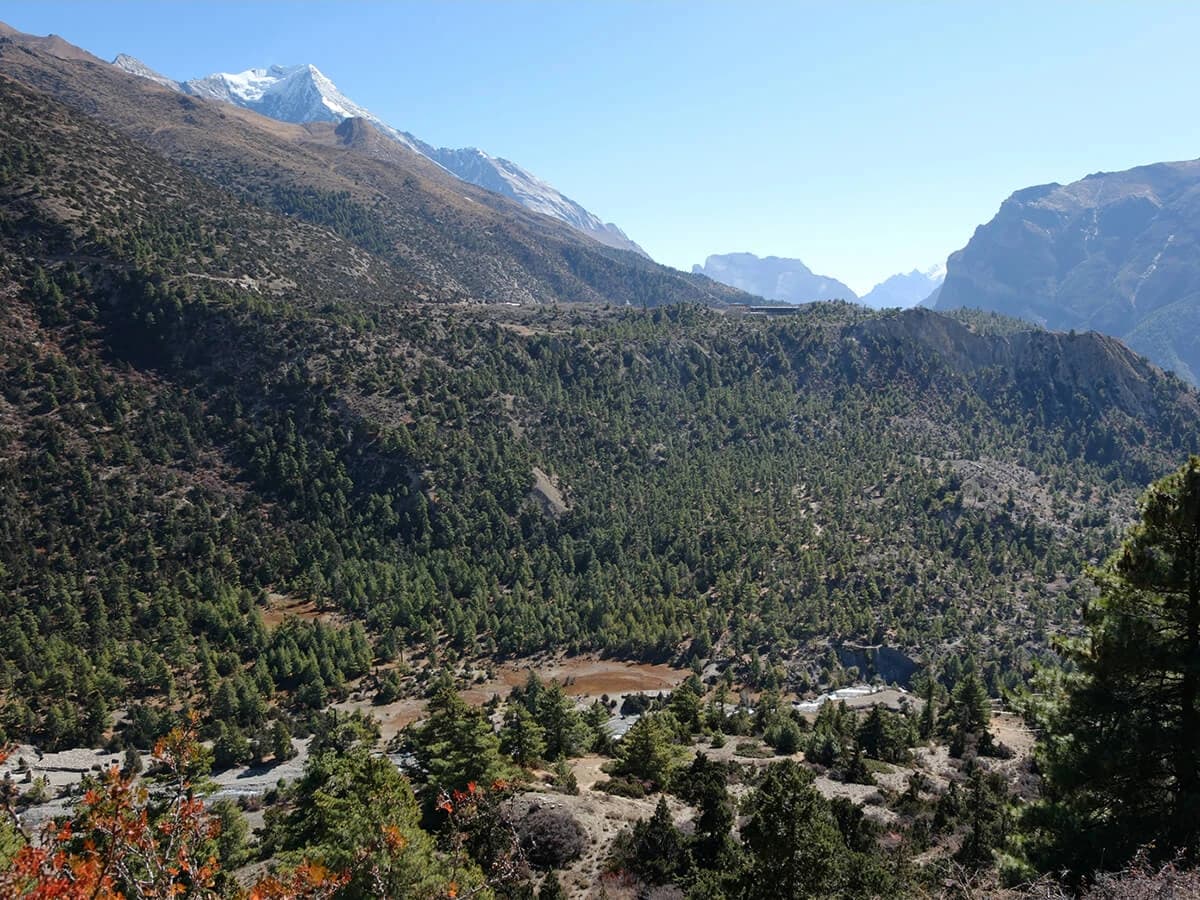 Khopra Danda Trek - 8 Days
