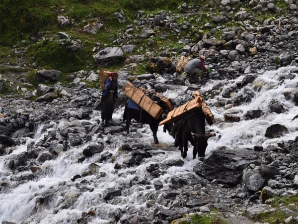 Mountain Transportation
