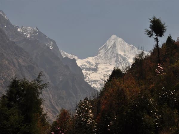 Mountains