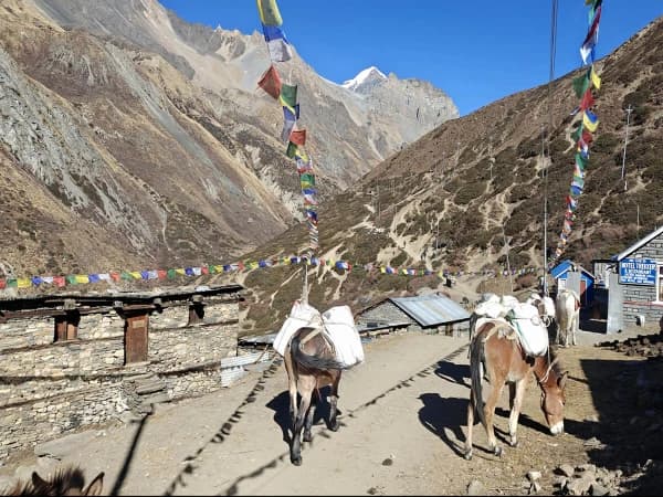 Yak Kharka