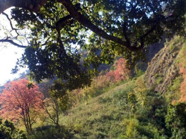 Ganesh Himal Ruby Valley Trek