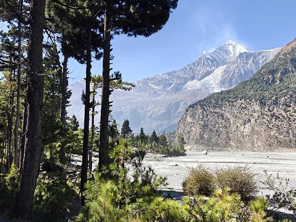 Mardi Himal and Hot Spring Trek